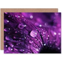 Artery8 Beads Water Drops On Violet Flower Petal Art Card