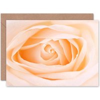 Orange Cream Rose Flower Macro Photograph Greeting Card