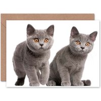Cat Lover British Shorthair Kittens Animal Photograph Card