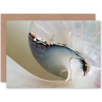 Dt Abstract Macro Shell Birthday Card