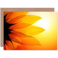 Dt Bright Sunflower Petals Birthday Card