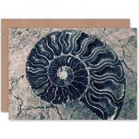 Artery8 Ammonite Shell Marine Life Fossil Fibonacci Nature Card