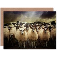 Artery8 Sheep Flock Cloudy Sky Farm Animal Photograph Greeting Card
