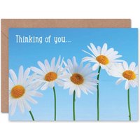 Artery8 Thinking You Daisy Flower Nature Thinking Of You Card