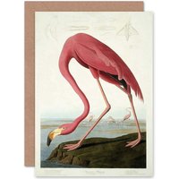 Artery8 Havell Audubon American American Flamingo Zoology Greetings Card