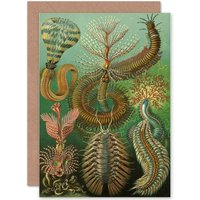 Artery8 Nature Biology Ernst Haeckel Germany Birthday Greetings Card in Green