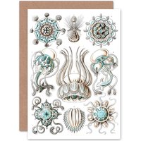 Artery8 Nature Ernst Haeckel Jellyfish Biology Germany Birthday Greetings Card in White