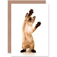 Artery8 Siamese Kitten Cat Playing Birthday Greetings Card in White