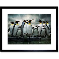 Emperor Penguin Birds Nature Animal Wildlife Photograph Artwork Framed Wall Art Print 12X16 Inch