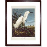 Painting Bird Audubon Snowy Heron Egret 12x16" Framed Wall Art