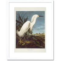 Artery8 Audubon Snowy Heron Birds of America Great Egret Coastal Bird Portrait Illustration Artwork Framed Wall Art Print 12X16 Inch in White