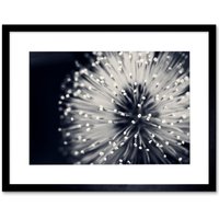 Macro Photoghraph Plant Flower Pollen & White Beautiful Nature Close Up Picture Framed Wall Art Print Picture 12X16 inch