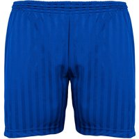 Britwear PE Sport Shorts in Blue | Size: 11-12 Years