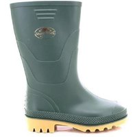 Wellingtons Green