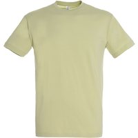 Regent Short Sleeve T Shirt Pale