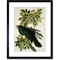 Wall Art Print Painting Nature Animal Bird Audubon Raven Artwork Framed 9X7 Inch W7" x H9"