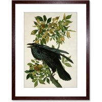 Artery8 Wall Art Print Painting Nature Animal Bird Audubon Raven Artwork Framed 9X7 Inch in Brown | Size: W7" x H9"