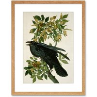 Artery8 Wall Art Print Painting Nature Animal Bird Audubon Raven Artwork Framed 9X7 Inch in Light Oak | Size: W7" x H9"