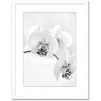 Wall Art Print Photo Nature Plant Orchid Flower White Artwork Framed 9X7 Inch W7" x H9"