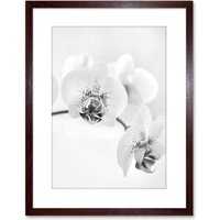 Artery8 Wall Art Print Photo Nature Plant Orchid Flower Black White Artwork Framed 9X7 Inch in Brown | Size: W7" x H9"