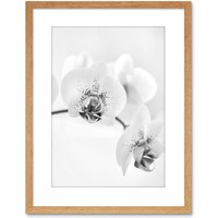Artery8 Wall Art Print Photo Nature Plant Orchid Flower Black White Artwork Framed 9X7 Inch in Light Oak | Size: W7" x H9"