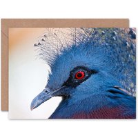 Photo Close Up Bird Head Plume Feathers Art Card