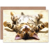 Photo Supine Kitten Stretched Out Cute Art Card