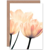 Artery8 Pretty Pink Flower Petals Greetings Card