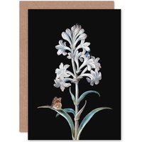 Artery8 Painting Nature Study Dietzsch White Hyacinth Insects Greetings Card in Black