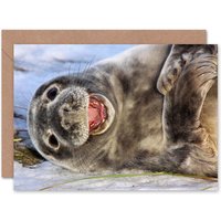 Artery8 Happy Seal Laying on Snow Cute Animal Photograph Greeting Card