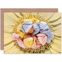 Asleep Middle Flower Petals Triplets Birthday Card
