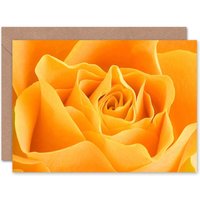 Rose Flower Macro Photograph Nature Floral Card