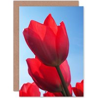 Artery8 Birthday Photo Tulips Close Up Flower Greetings Card in Red