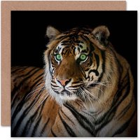 Big Cat Lover Fierce Tiger Eyes Animal Photo Card