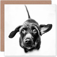 Animal Cute Puppy White Dog Birthday Card