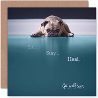 Debenhams Enjoy 15% off Wee Blue Coo Sit Stay Heal Adorable Dog Card