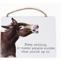 Ceramic Hanging Wall Plaque Keep Smiling Donkey