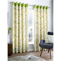 Fusion 'Beechwood' Leaf Trail Pair of 100% Cotton Eyelet Curtains in Green | Size: 168 cm width x 137 cm drop