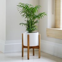 Ivyline Anzio Stone White Planter with Wooden Stand, H38.5cm x D24cm | On trend design | perfect for larger plants | Ceramic planter