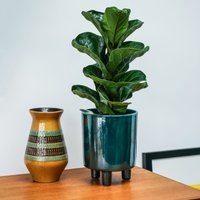 Ivyline Pisa Emerald Planter, H24cm x D20cm