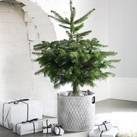 Ivyline Indoor Zinc Planter H23Cm W23Cm -Dimensions: H23cm W23cm in Silver