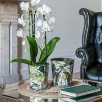 Royal Botanic Gardens Kew Kew Botanical Retreat Planter With Saucer 14Cm | Metal | Detachable Saucer | Perfect For Gifting ✨ in Green
