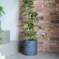 Royal Botanic Gardens Kew Kew Stoneware Meadow Planter Midnight 21cm in Grey