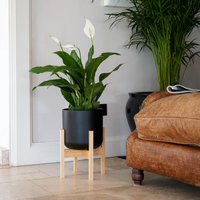 Ivyline Lisbon Pot & Stand Anthracite, D20.5cm in Black