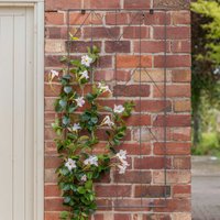 Ivyline Herringbone Trellis Zinc H120cm W60cm| Online Best Seller | Premium Quality | 2 year warranty | Hand Made | Frost proof | Size: Medium