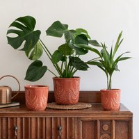 Embossed Fern Planter H21cm D23cm Ceramic Premium Quality Embossed Reactive Glaze 2 Colours & 2 Sizes