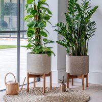 Ivyline Valetta Ivory Speckled Planter with Stand H33cm D24cm