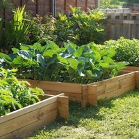 Primrose The Chamberlain Wooden Raised Grow Bed 200L in Beige