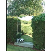 Acrylic Rectangular Outdoor Garden Wall Mirror 180cm x 44cm cm x 44 cm