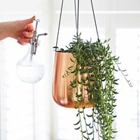 Iron Hanging Planter